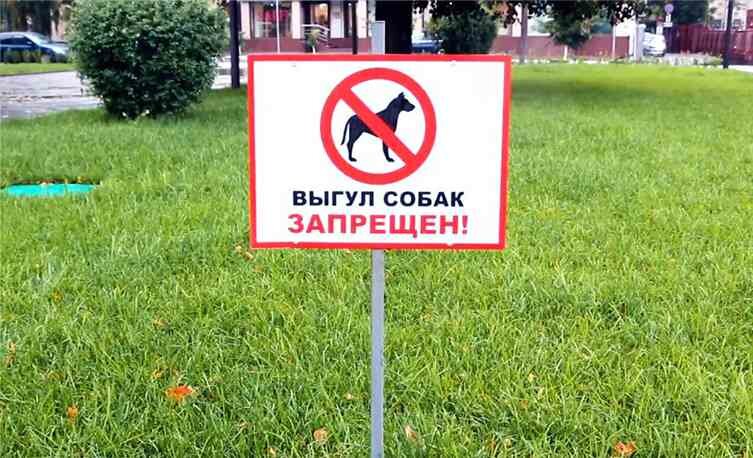 Знак запрещающий выгул собак